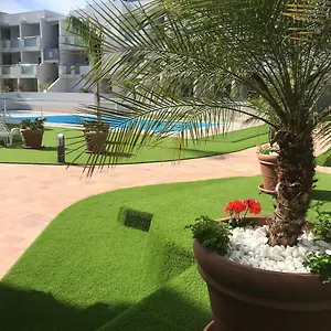 https://nice-and-sunny-apartment.hotelsfuerteventura.org